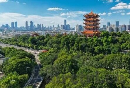 大象禁止传媒视频入口-探索大象禁止传媒视频入口的背后